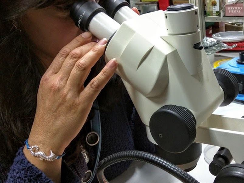 proyecttos e investigacion